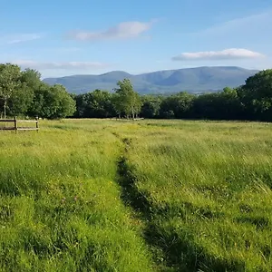 Woodford In Old Farm Irlanda