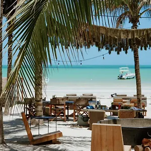 https://hotelito-casa-las-tortugas.quintano-roohotels.com