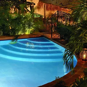 https://la-pasion-hotel-boutique.quintano-roohotels.com